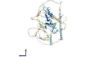 AlphaFold protein structure predicition of Human Recombinant SF3B2 Protein, UniprotID Q13435