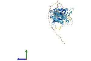 Protein Structure (PS) image for CCR4-NOT Transcription Complex, Subunit 11 (CNOT11) (AA 1-510) protein (His tag) (ABIN7546625)