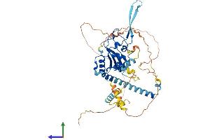 Protein Structure (PS) image for Nucleosome Assembly Protein 1-Like 2 (NAP1L2) (AA 1-460) protein (His tag) (ABIN7563401)