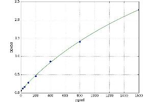 NADPH Oxidase 5 (NOX5) ELISA Kit