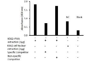 Activity Assay (AcA) image for Jun D Proto-Oncogene (JUND) ELISA Kit (ABIN5526746)