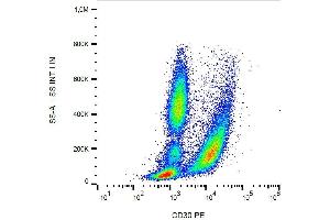 Surface staining of human blood cells with anti-CD30 (MEM-268) PE.