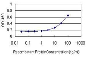 Detection limit for recombinant GST tagged SYN1 is approximately 3ng/ml as a capture antibody. (SYN1 抗体  (AA 362-450))