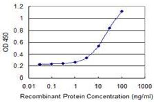 Detection limit for recombinant GST tagged PAXIP1 is 0. (PAXIP1 抗体  (AA 868-975))