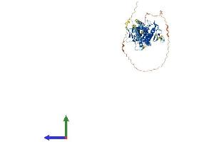 Protein Structure (PS) image for Kinesin Family Member C1 (KIFC1) (AA 1-673) protein (His tag) (ABIN7548740)