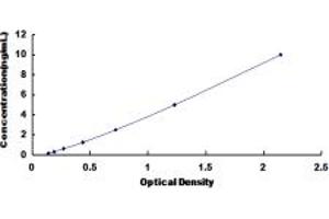 Typical standard curve (PPP2R4 ELISA 试剂盒)