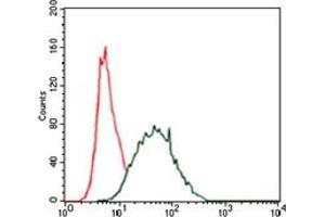Flow Cytometry (FACS) image for anti-Keratin 5 (KRT5) antibody (ABIN1106933) (Cytokeratin 5 抗体)