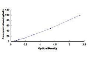 Interleukin 18 Binding Protein (IL18BP) ELISA Kit