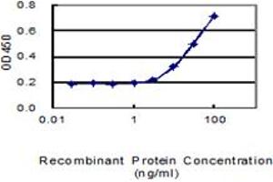 Detection limit for recombinant GST tagged TMCO2 is 1 ng/ml as a capture antibody. (TMCO2 抗体  (AA 1-182))