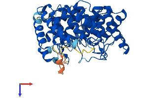 AlphaFold protein structure predicition of Mouse Recombinant Lancl3 Protein, UniprotID Q8CD19