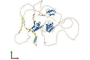 Protein Structure (PS) image for Mex-3 Homolog D (MEX3D) (AA 1-651) protein (His tag) (ABIN7549430)