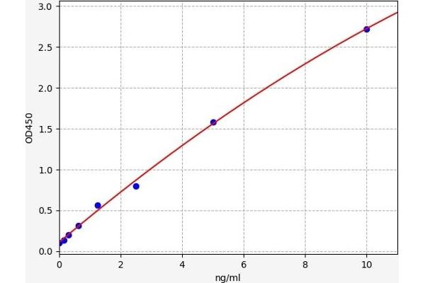 PKC zeta ELISA 试剂盒