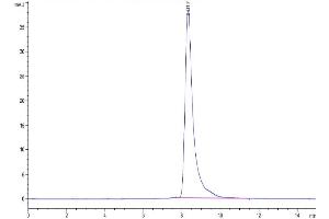 Size-exclusion chromatography-High Pressure Liquid Chromatography (SEC-HPLC) image for Interleukin 11 Receptor, alpha (IL11RA) (AA 24-372) protein (His tag) (ABIN7275040)