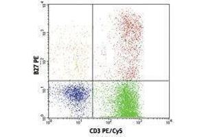 Flow Cytometry (FACS) image for anti-Interferon gamma (IFNG) antibody (PE) (ABIN2663751) (Interferon gamma 抗体  (PE))