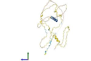 Protein Structure (PS) image for RAD51-Interacting Protein (RAD51AP1) (AA 1-352) protein (His tag) (ABIN7551136)