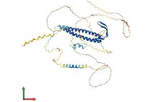 Protein Structure (PS) image for URI1, Prefoldin-Like Chaperone (URI1) (AA 1-535) protein (His tag) (ABIN7555246)