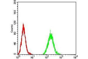 Flow cytometric analysis of MCF-7 cells using UHRF1 mouse mAb (green) and negative control (red). (UHRF1 抗体  (AA 616-755))