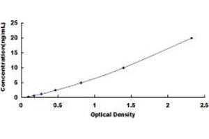 Typical standard curve (SLC9A3 ELISA 试剂盒)