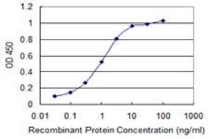Detection limit for recombinant GST tagged FKBP10 is 0. (FKBP10 抗体  (AA 377-470))