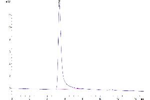 The purity of Human Claudin 18. (Claudin 18.2 (AA 1-261) (Active) protein-VLP)