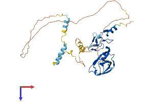 PDLIM2 Protein (AA 1-349) (His tag)