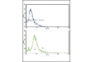 Flow cytometric analysis of hela cells using SKP2 Antibody (Center)(bottom histogram) compared to a negative control cell (top histogram). (SKP2 抗体  (AA 156-185))