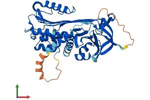 AlphaFold protein structure predicition of Human Recombinant SERPINB10 Protein, UniprotID P48595