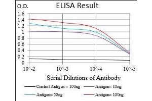 Black line: Control Antigen (100 ng), Purple line: Antigen(10 ng), Blue line: Antigen (50 ng), Red line: Antigen (100 ng), (Prokineticin Receptor 2 抗体  (acetylated))