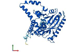 AlphaFold protein structure predicition of Mouse Recombinant Mogat1 Protein, UniprotID Q91ZV4