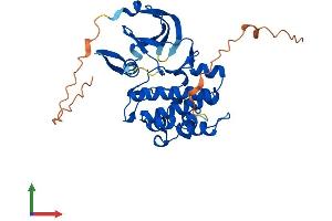 AlphaFold protein structure predicition of Human Recombinant PIM3 Protein, UniprotID Q86V86