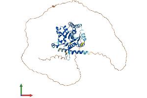 Protein Structure (PS) image for Glycogenin 2 (GYG2) (AA 1-501) protein (His tag) (ABIN7548047)