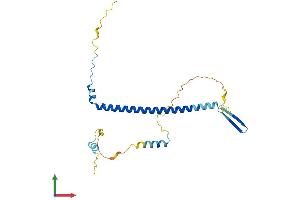 Protein Structure (PS) image for Nucleolar Protein 12 (NOL12) (AA 1-217) protein (His tag) (ABIN7558517)
