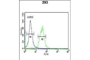 TRIB2 Antibody (N-term) (ABIN652876 and ABIN2842567) flow cytometric analysis of 293 cells (right histogram) compared to a negative control cell (left histogram). (TRIB2 抗体  (N-Term))
