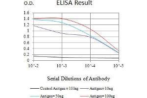 Black line: Control Antigen (100 ng),Purple line: Antigen (10 ng), Blue line: Antigen (50 ng), Red line:Antigen (100 ng) (ERCC1 抗体  (AA 1-297))