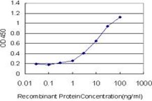 Detection limit for recombinant GST tagged TLN1 is approximately 0. (TLN1 抗体  (AA 1052-1149))