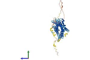 AlphaFold protein structure predicition of Mouse Recombinant Gpr151 Protein, UniprotID Q7TSN6