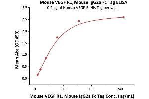 Immobilized Human VEGF-B, His Tag (ABIN2181909,ABIN3071762) at 2 μg/mL (100 μL/well) can bind Mouse VEGF R1, Mouse IgG2a Fc Tag, low endotoxin (ABIN5674650,ABIN6253654) with a linear range of 8-63 ng/mL (Routinely tested). (FLT1 Protein (AA 23-759) (Fc Tag))