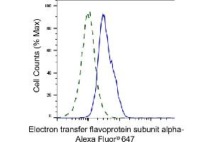 Validation of Electron transfer flavoprotein subunit alpha knockdown using flow cytometry. (ETFA 抗体)