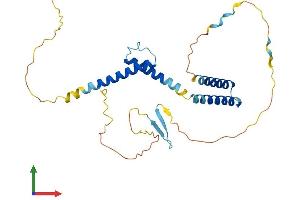 Protein Structure (PS) image for Hes Family bHLH Transcription Factor 1 (HES1) (AA 1-280) protein (His tag) (ABIN7548242)