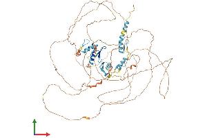 Protein Structure (PS) image for Zinc Finger Protein 828 (ZNF828) (AA 1-802) protein (His tag) (ABIN7564644)