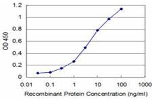 Detection limit for recombinant GST tagged RCV1 is approximately 0. (Recoverin 抗体  (AA 101-199))