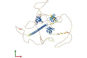Protein Structure (PS) image for CD2-Associated Protein (Cd2ap) (AA 1-639) protein (His tag) (ABIN7553220)