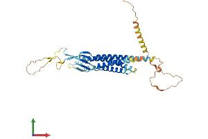 AlphaFold protein structure predicition of Mouse Recombinant Gsg1 Protein, UniprotID Q8R1W2