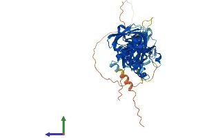Protein Structure (PS) image for Syntrophin, gamma 1 (SNTG1) (AA 1-517) protein (His tag) (ABIN7546071)