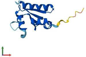 Protein Structure (PS) image for SH3 Domain Binding Glutamic Acid-Rich Protein Like 2 (SH3BGRL2) (AA 1-107) protein (His tag) (ABIN7558531)