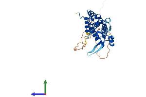 Protein Structure (PS) image for PARK2 Co-Regulated (PACRG) (AA 1-296) protein (His tag) (ABIN7550441)