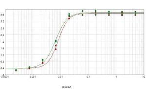 ELISA results of purified Goat F(ab')2 Anti-Rat IgG F(c) Biotin Conjugated Antibody (Min X Bv Hs & Hu serums) tested against purified Rat IgG F(c).