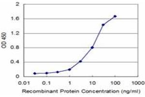 Detection limit for recombinant GST tagged CTNNA1 is approximately 0. (CTNNA1 抗体  (AA 152-250))