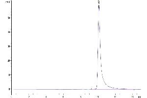 Size-exclusion chromatography-High Pressure Liquid Chromatography (SEC-HPLC) image for Macrophage Receptor with Collagenous Structure (MARCO) (AA 405-520) protein (His tag) (ABIN7275278)