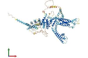 Protein Structure (PS) image for Transient Receptor Potential Cation Channel, Subfamily C, Member 6 (TRPC6) (AA 1-931) protein (His tag) (ABIN7555831)